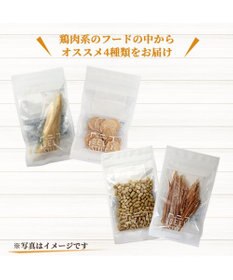 PET PARADISE ペットパラダイス 犬 おやつ デリスタイル4種類 鶏肉系セットA