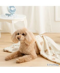 PET PARADISE ペットパラダイス くまちゃん クール ブランケット 《アイス柄》
