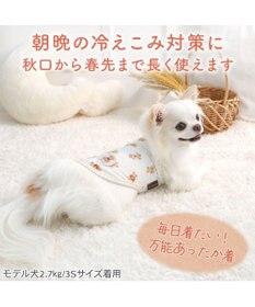PET PARADISE ペットパラダイス くまちゃん ペティヒート 天竺  タンクトップ 《赤リボン》 超小型犬 小型犬