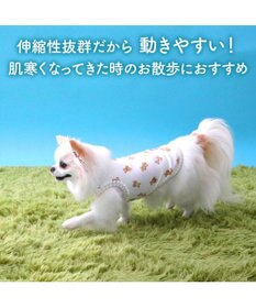 PET PARADISE ペットパラダイス くまちゃん ペティヒート 天竺  タンクトップ 《赤リボン》 超小型犬 小型犬