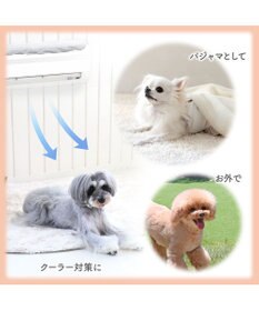 PET PARADISE ディズニー ミッキーマウス サーモキープ Tシャツ 《風船柄》 小型犬