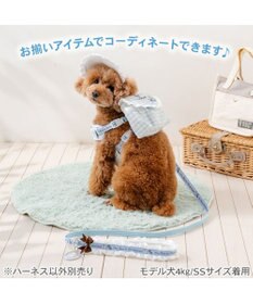 PET PARADISE ディズニー アリス リュックハーネス Ｓ