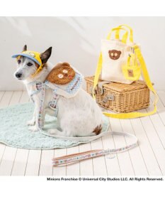 PET PARADISE ミニオン ティム お花柄 リード ４Ｓ～３Ｓ