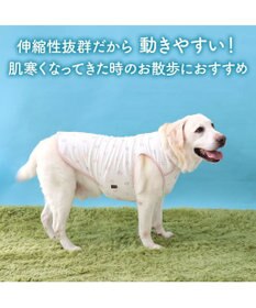 PET PARADISE ペットパラダイス ペティヒート天竺 タンクトップ 《さくらんぼ柄》  中型犬 大型犬