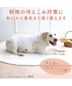 PET PARADISE ペットパラダイス ペティヒート天竺 タンクトップ 《さくらんぼ柄》  中型犬 大型犬