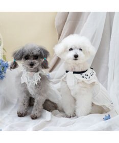 PET PARADISE ペットパラダイス エンブロイダリー ワンピース 小型犬