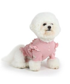 PET PARADISE ペットパラダイス プレミアム ペティヒート  花フリルTシャツ  超小型犬  小型犬