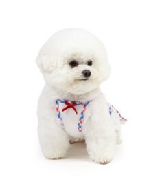 PET PARADISE リサとガスパール エコメイド ワンピース 《チェック》 小型犬