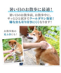 PET PARADISE ペットパラダイス クール  ボディタオル 20枚入り