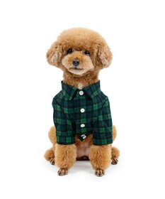 PET PARADISE J.PRESS ブラック格子 シャツ 小型犬