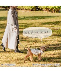PET PARADISE ペットパラダイス アウターハーネス フリル 小型犬