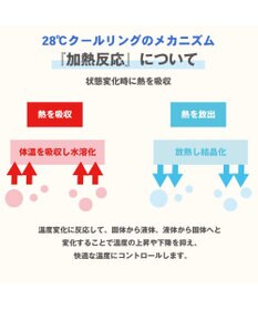 PET PARADISE クールリング 犬 クールネック ひんやり 28℃クールリング 【M】 リフレクター 水色 ベージュ 反射材付き