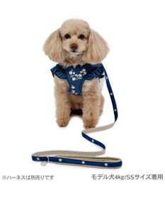 PET PARADISE ペットパラダイス お花チャームリード ４Ｓ～３Ｓ