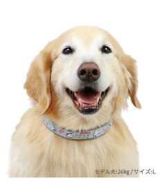 PET PARADISE スヌーピー 首輪 《 ビーグルスカウト》 ＳＭ 中型犬