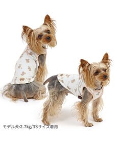 PET PARADISE ペットパラダイス はじめてタンクトップ くまちゃん柄 小型犬