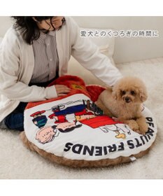 PET PARADISE スヌーピー 遠赤外線 一緒にぽかぽかマット 《赤屋根ハウス》 小型犬
