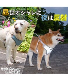 PET PARADISE ペットパラダイス 超反射 切り替え ハーネス＆リード Ｌ 《ブルーグリーン》