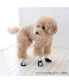 PET PARADISE スヌーピー makokoro スリット 靴下 ３Ｓ 小型犬