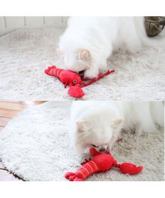 PET PARADISE ペットパラダイス おもちゃトイ 伊勢えび