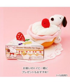 PET PARADISE スヌーピー 濃厚チーズビスケット 35g