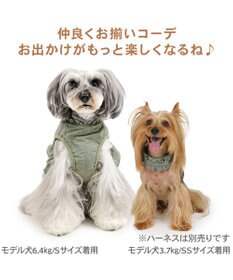 PET PARADISE ペットパラダイス ペタルオリーブ首輪 ３Ｓ