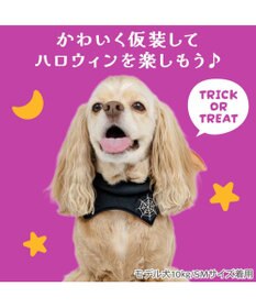 PET PARADISE ペットパラダイス コウモリチョーカー 中型犬 大型犬