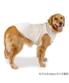 PET PARADISE Lee ジップボア ベスト ホワイト 中型犬 大型犬