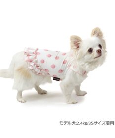 PET PARADISE ペットパラダイス タッチワンクールプラス Tシャツ 《いちご》 小型犬