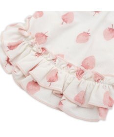 PET PARADISE ペットパラダイス タッチワンクールプラス Tシャツ 《いちご》 小型犬