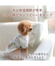 PET PARADISE リサとガスパール サーモキープ リサお顔Tシャツ  小型犬