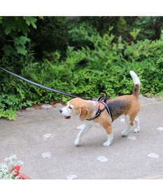 PET PARADISE 両面反射リード ブラック120cm【ＳＭ】