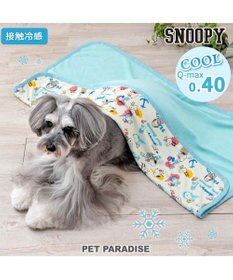 PET PARADISE スヌーピー クールケット 《アイス柄》