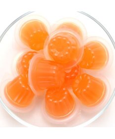 PET PARADISE 5種の野菜＆フルーツゼリー 10個入り  国産