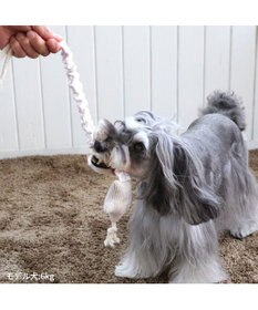 PET PARADISE ペットパラダイス 引っ張り トイ 《雲/星》