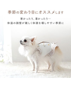 PET PARADISE ディズニー ミニーマウス サーモキープ Tシャツ 《風船柄》 小型犬