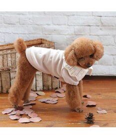 PET PARADISE ペットパラダイス ワンダフル ストレッチ フリース 《 ニット襟 》小型犬