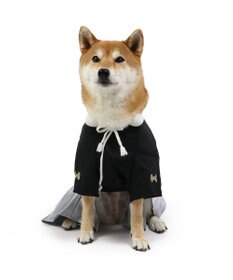 PET PARADISE ペットパラダイス 紋付袴 《シルバー》 中型犬 大型犬