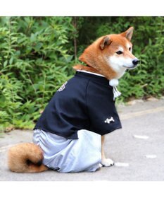 PET PARADISE ペットパラダイス 紋付袴 《シルバー》 中型犬 大型犬