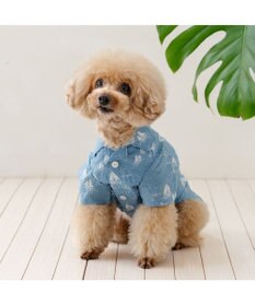 PET PARADISE J.PRESS ウェーブシャツ 《船柄 》 小型犬