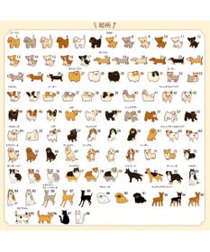 PET PARADISE 【受注生産】ペットパラダイス えさ皿 食器  名前と誕生日が入ります！ オーダーメイドフードボウル【大】