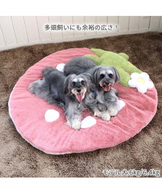 PET PARADISE  ネット店限定 くすみ苺 マット (105×107cm用)