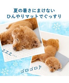 PET PARADISE ペットパラダイス  コンパクトクーラー グレー 2026