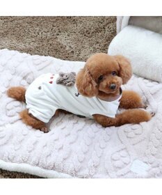 PET PARADISE ペットパラダイス ペティヒート プレミアム ロンパース くま 小型犬