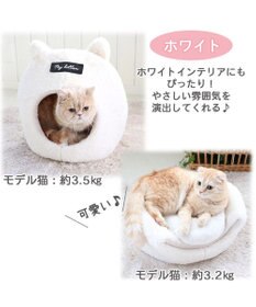 PET PARADISE 【注文商品】愛猫のお名前刺繍入り 猫 ベッド ねこハウス (38×40cm)