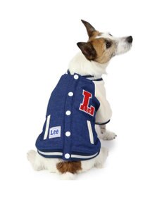 PET PARADISE Lee スタジャン 小型犬