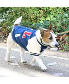 PET PARADISE Lee スタジャン 小型犬