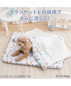 PET PARADISE ディズニー トイ・ストーリー もちっと クール マット Ｍ  《総柄》