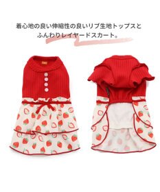 PET PARADISE 犬の服 犬 ワンピース 【小型犬】 苺柄 リブ ピンク レッド