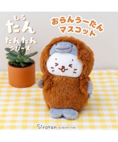 うさずきん 超特大60cmお花見団子 うさぎ ぬいぐるみ 大きいサイズ 特大抱き枕 ウサギ 60cm/100cm