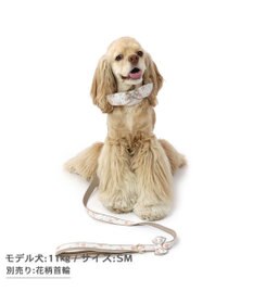 PET PARADISE 花柄 リード【ＳM】中型犬